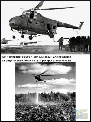 № 5